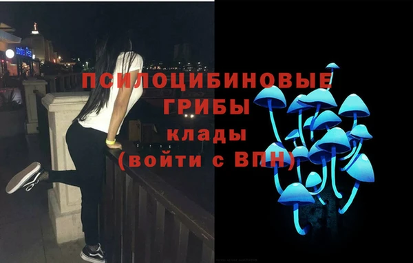 круглые Алзамай