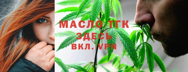 дмт Алексин
