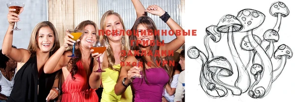 дмт Алексин