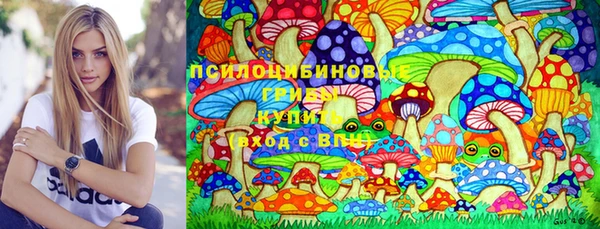 круглые Алзамай