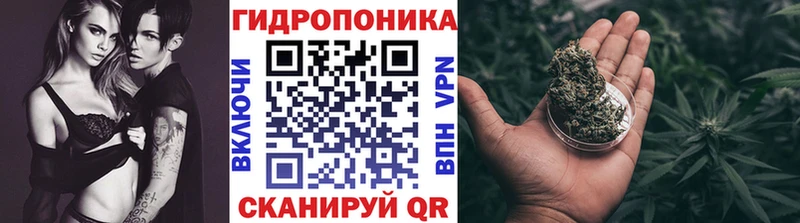 Канабис гибрид  Борзя 